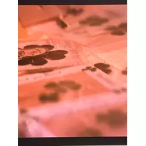緑 四葉