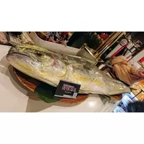 あいる
