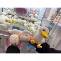 きょうか