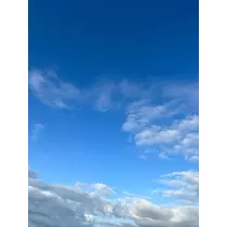 しおん