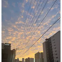 黒川 すみれ