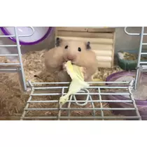 ユカ