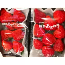 椿綺 楓