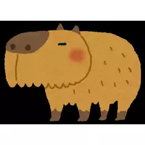 のあ