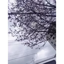 成海 まお