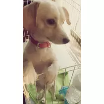 立花 咲