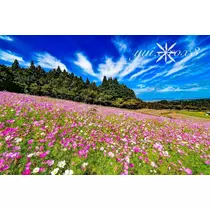 神崎　唯