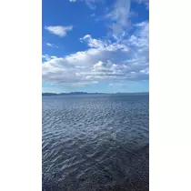 てぃな
