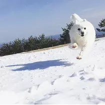 美咲