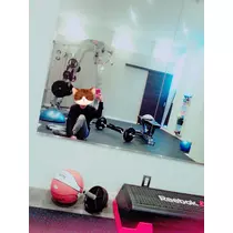 本城 椿