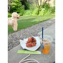 夏目 梨仔