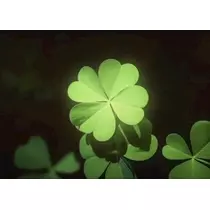 緑 四葉