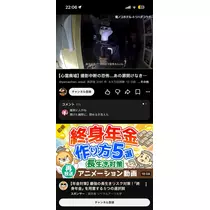 せいか