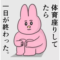 司