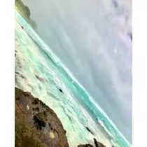 ゆかり