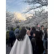 みーたん