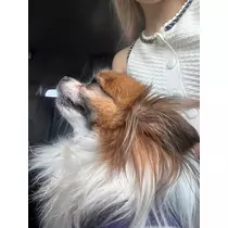 あいら