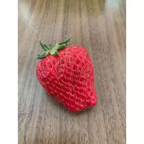 みやび