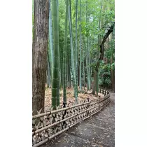 かんな