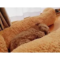 荒木 ナツミ
