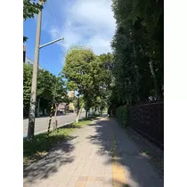 野本 明日香