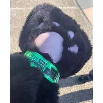 りあちゃん!?