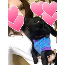 りえ