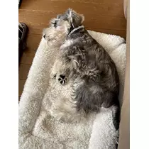 天月 あすな