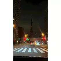 ぽぽ