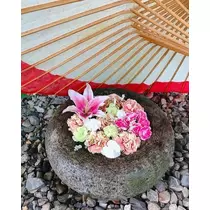 紫月 あやか