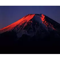 ゆかり