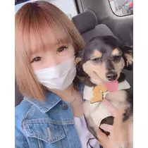 ありす