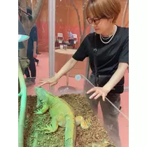 しほ