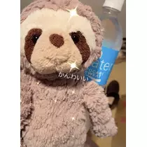 七星 夏純