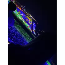 はつね