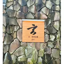 あおい
