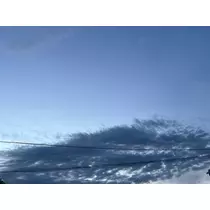 なつき
