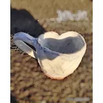 さや