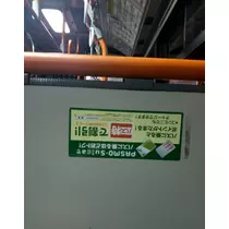 紫音