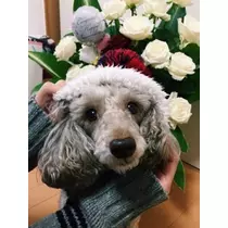 荒木 ナツミ