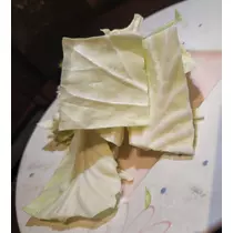 紫音