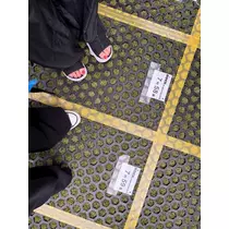 ひなた