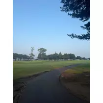 ひめ