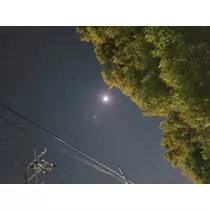 たまき