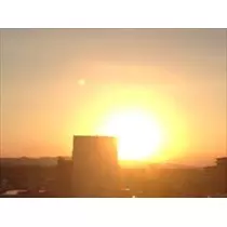りな