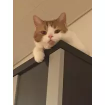 NATSUMI