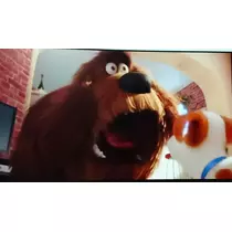 らん