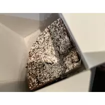 七星 夏純