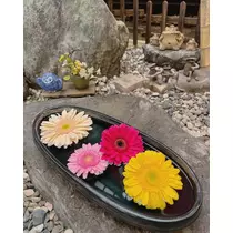 りょう