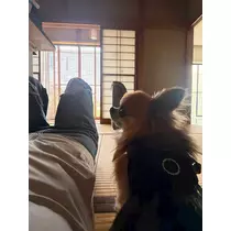 めい